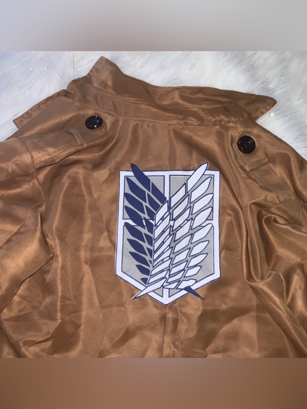 AOT Jacket and Cape - Picture 3 of 5